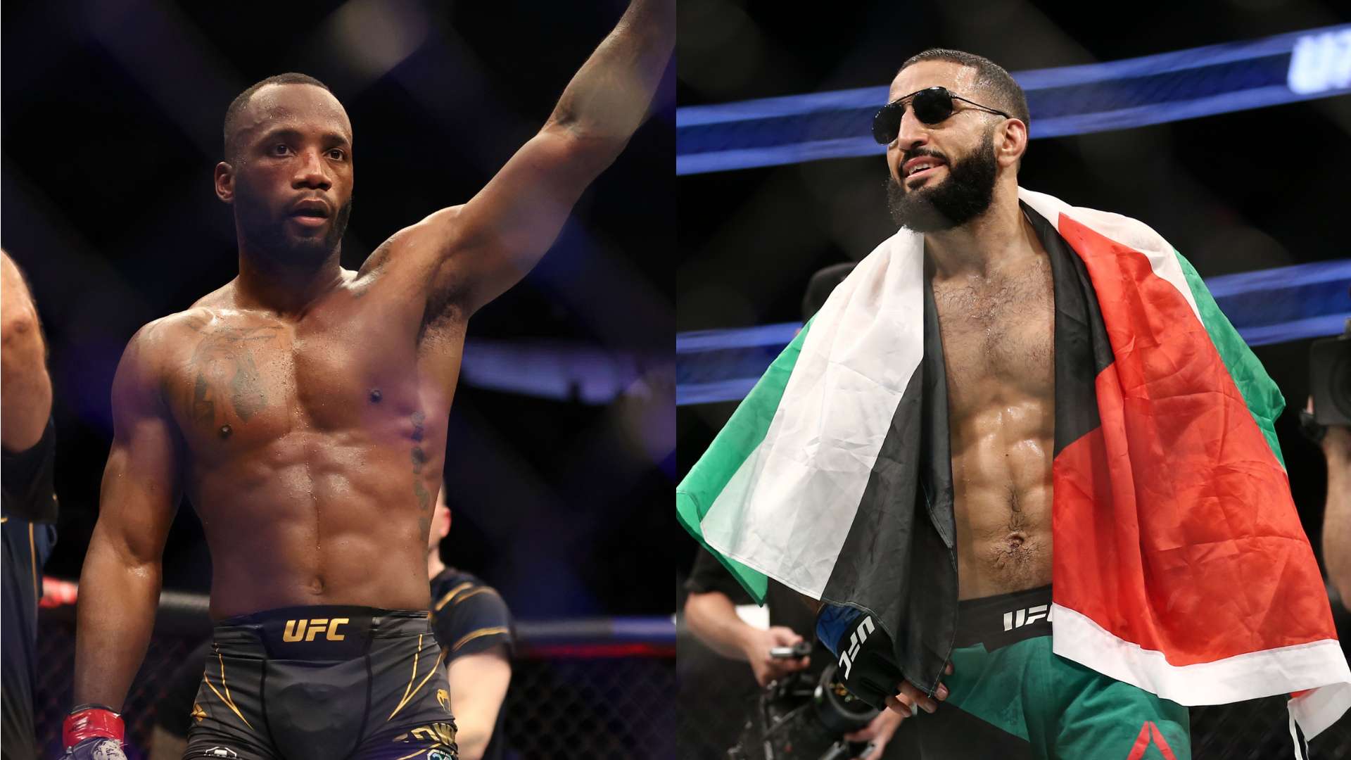 明星球员的 明星球员的